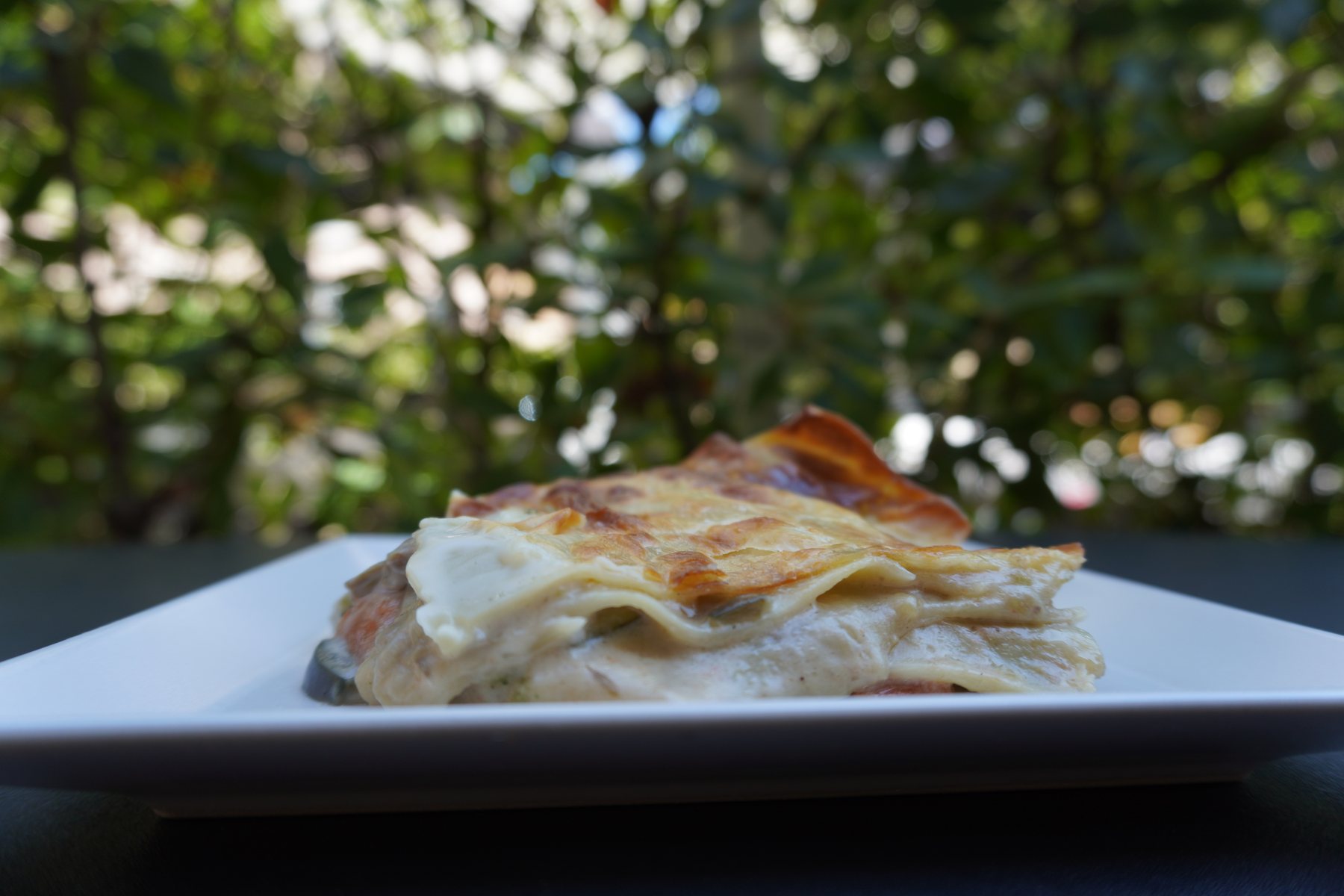 Cannelloni al ragù